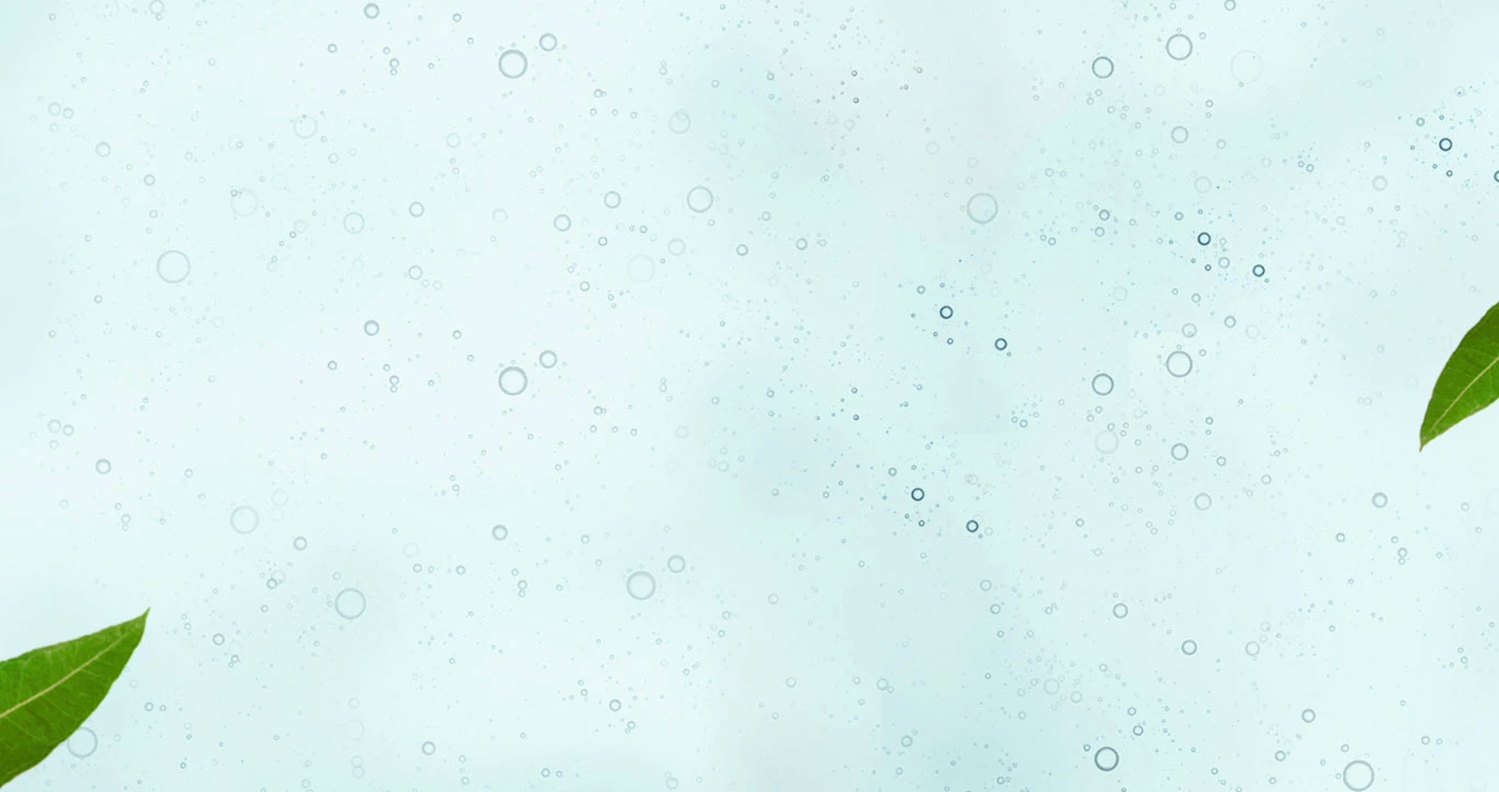 Bottom Background