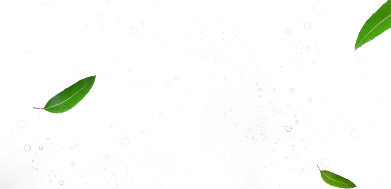 Video Background