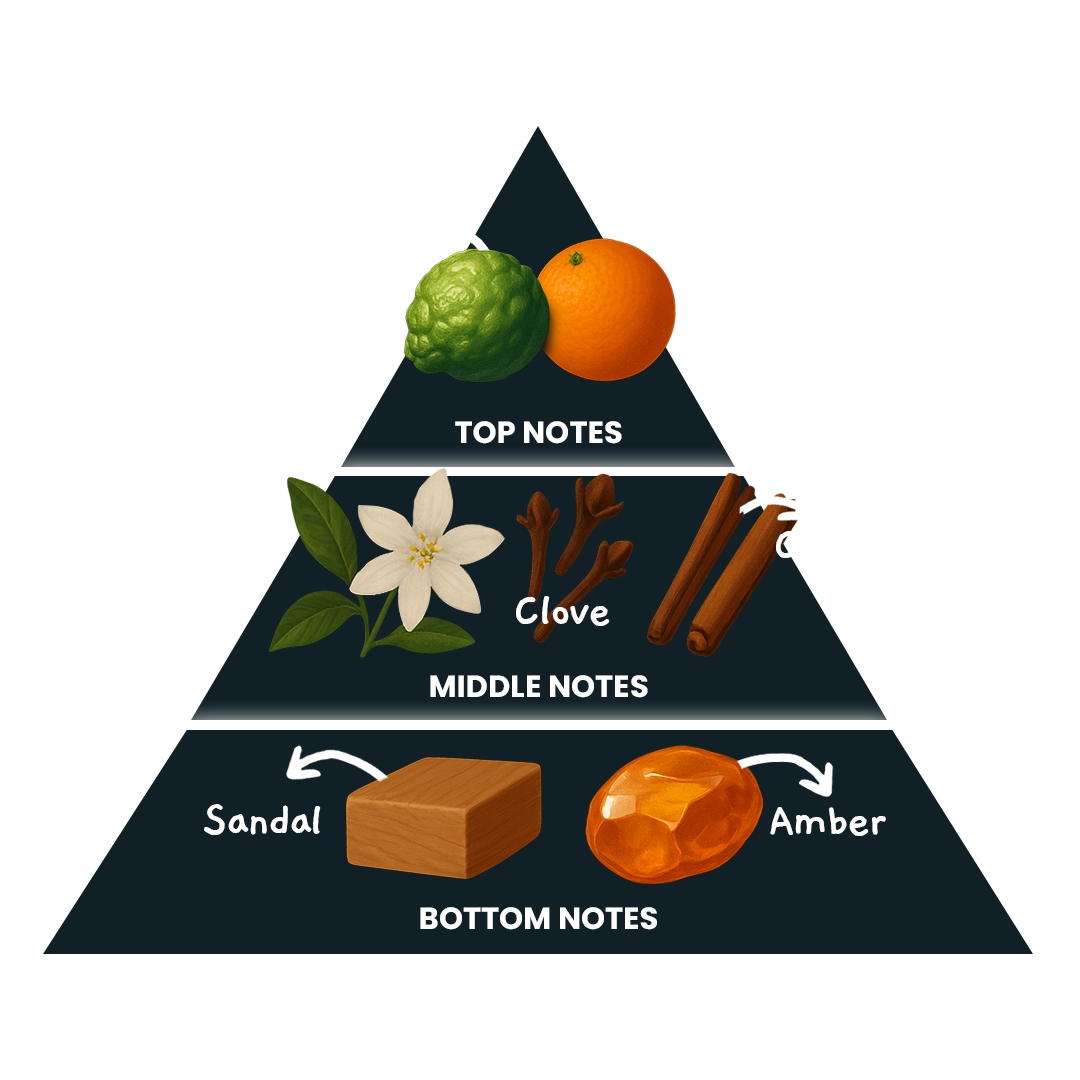 fragnance triangle