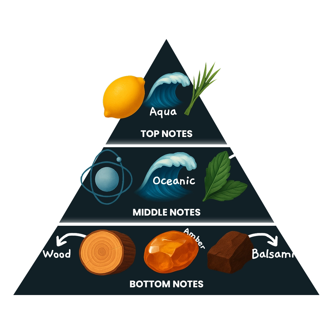 fragnance triangle