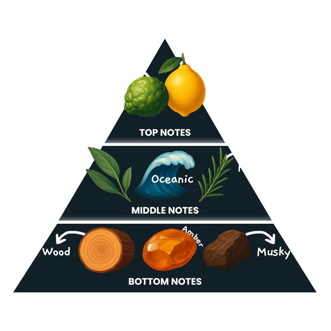 fragnance triangle