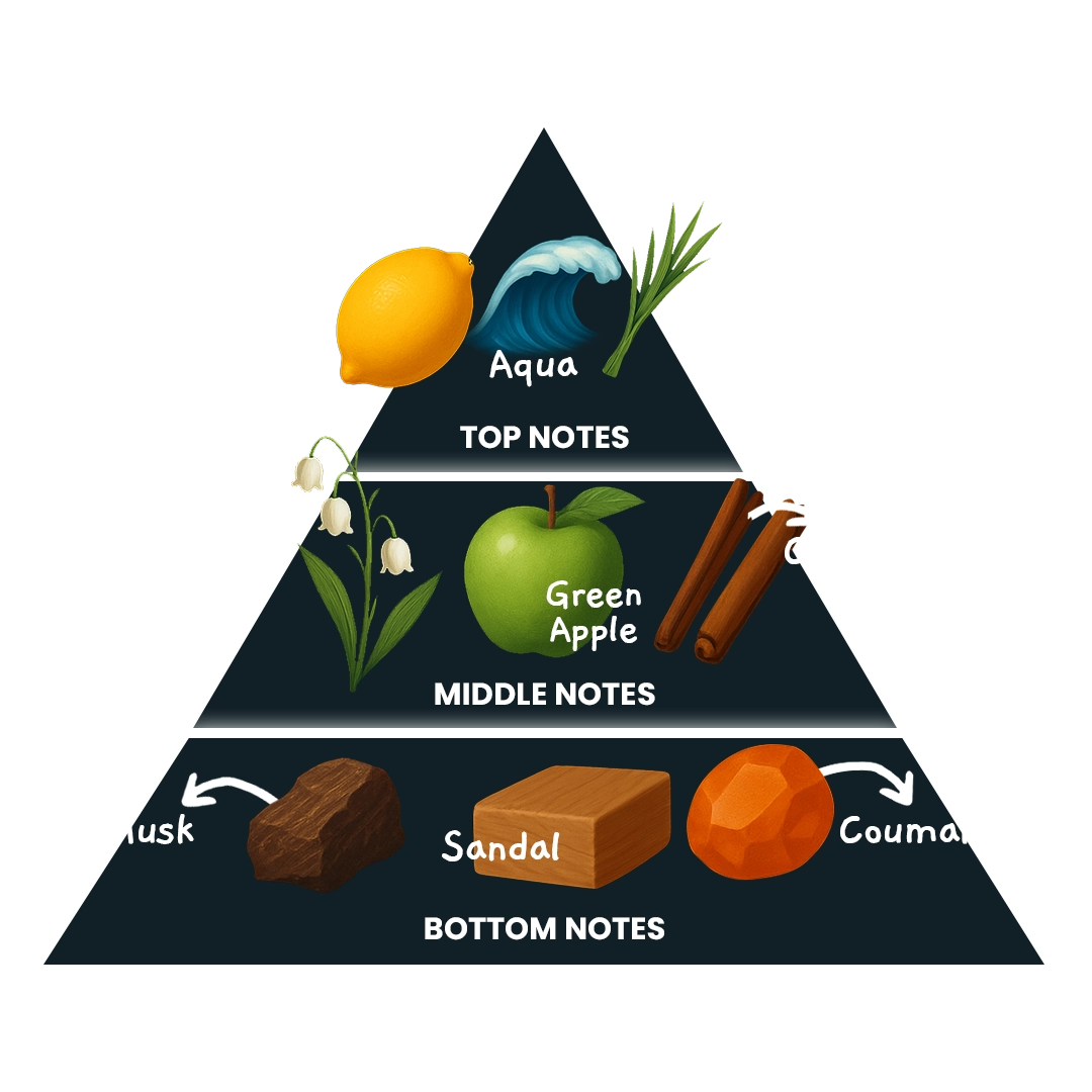 fragnance triangle