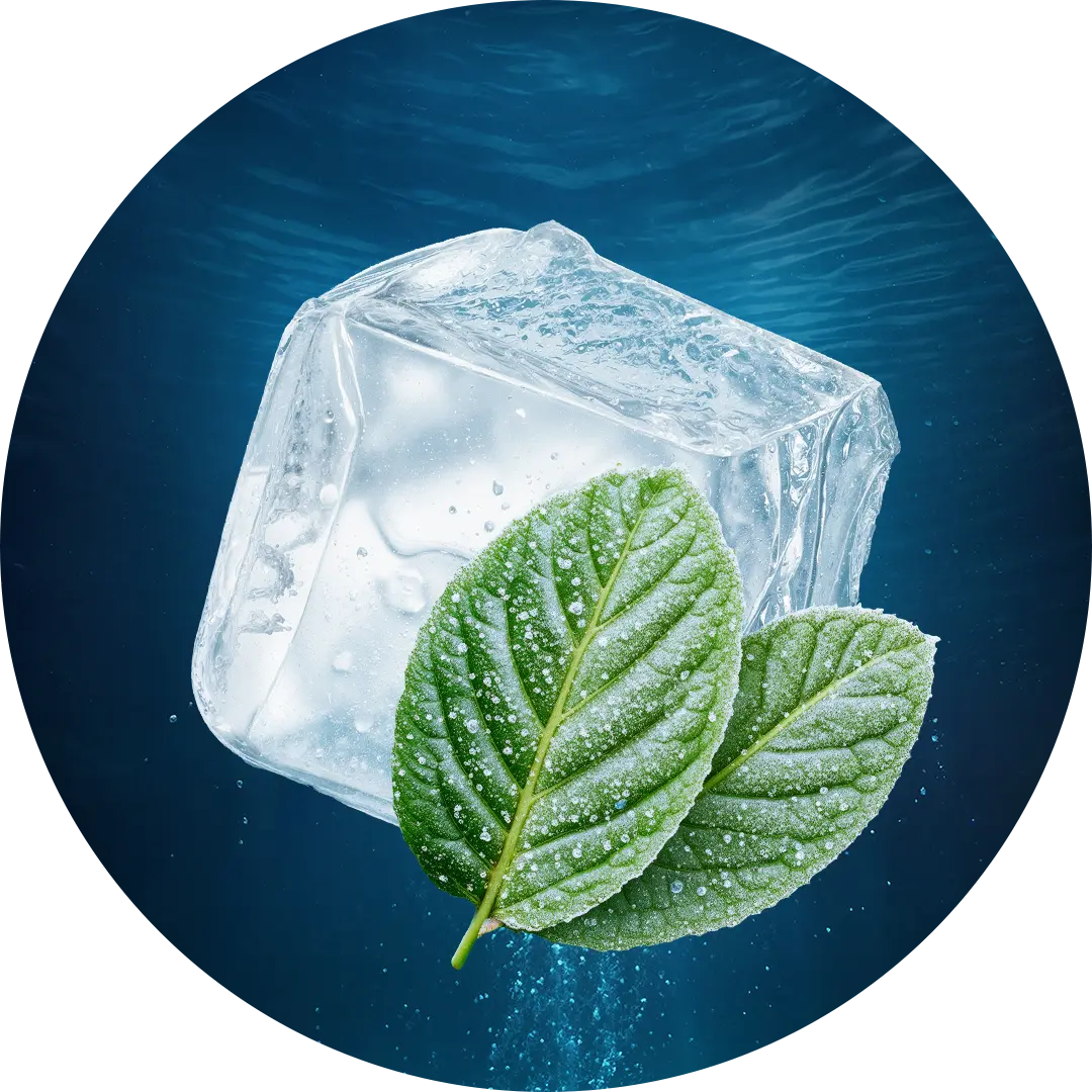Fresh Menthol